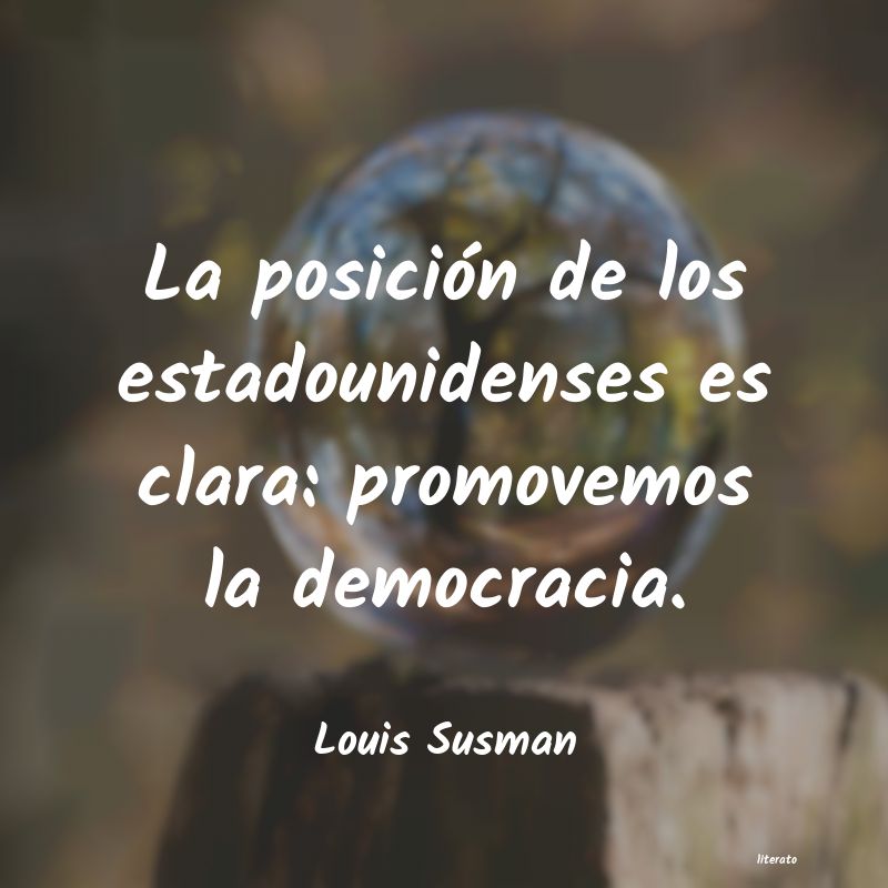frases de Louis Susman