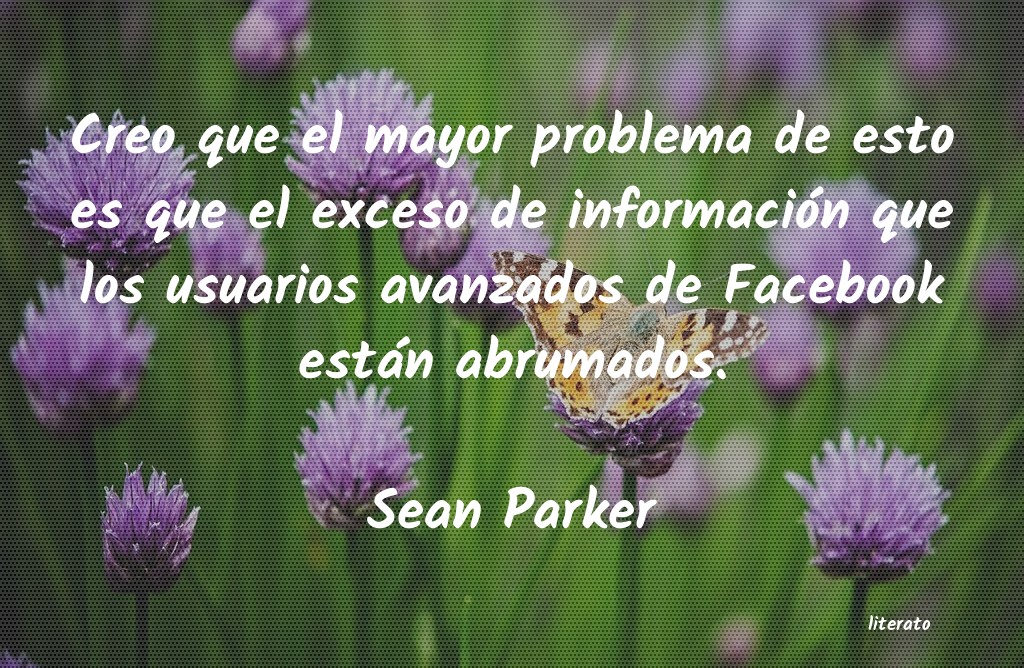 Frases de Sean Parker