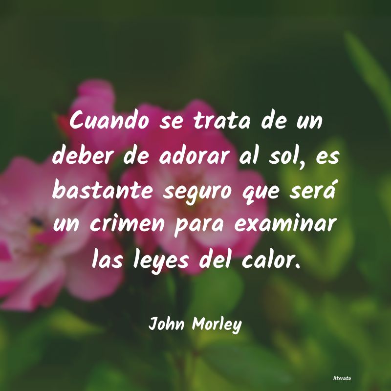 Frases de John Morley