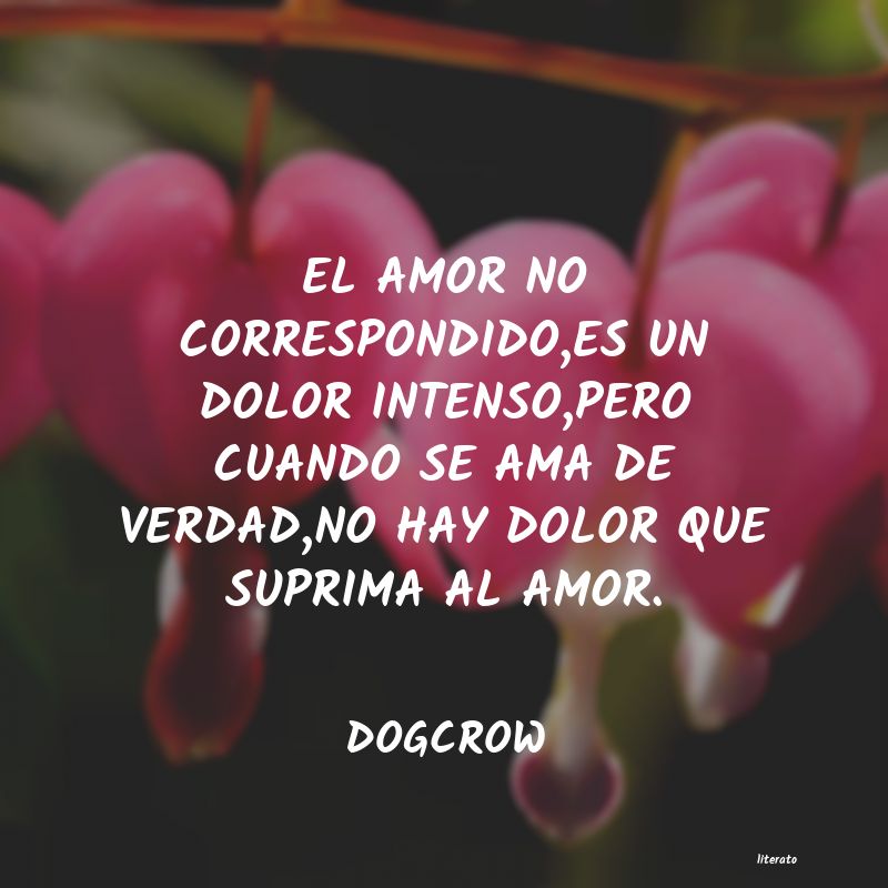 Frases de DOGCROW