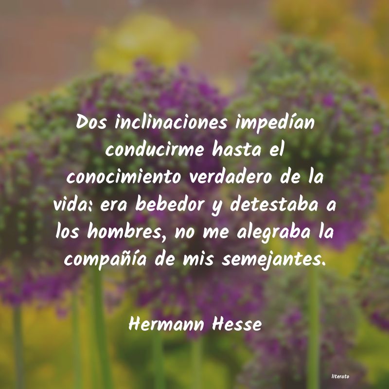 Frases de Hermann Hesse