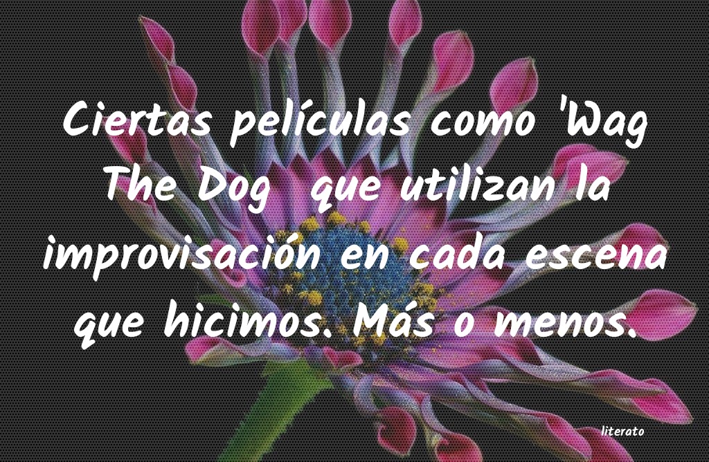 frases