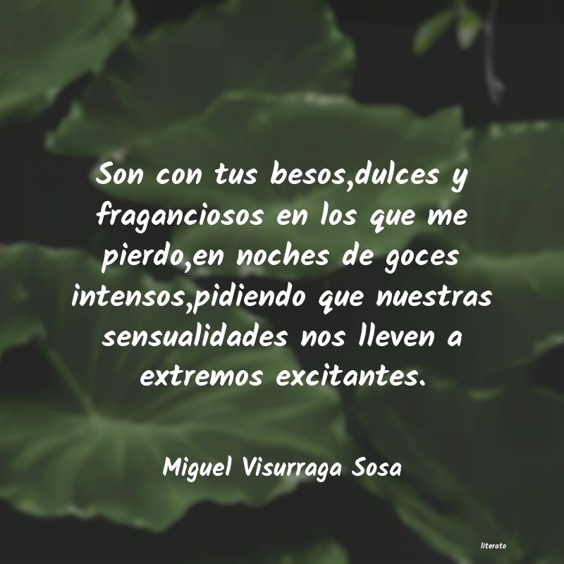 Frases de Miguel Visurraga Sosa