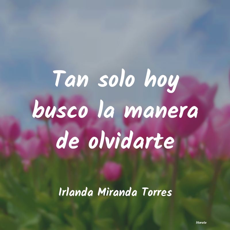 frases de Irlanda Miranda Torres