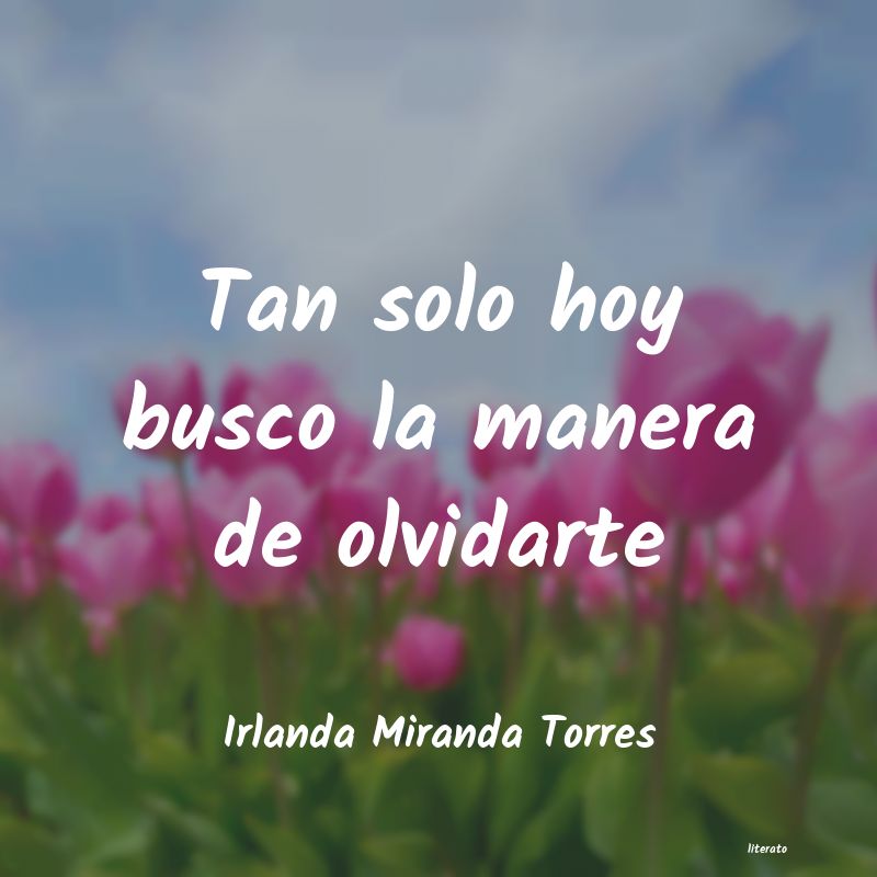 Frases de Irlanda Miranda Torres