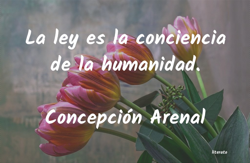 frases de Concepción Arenal