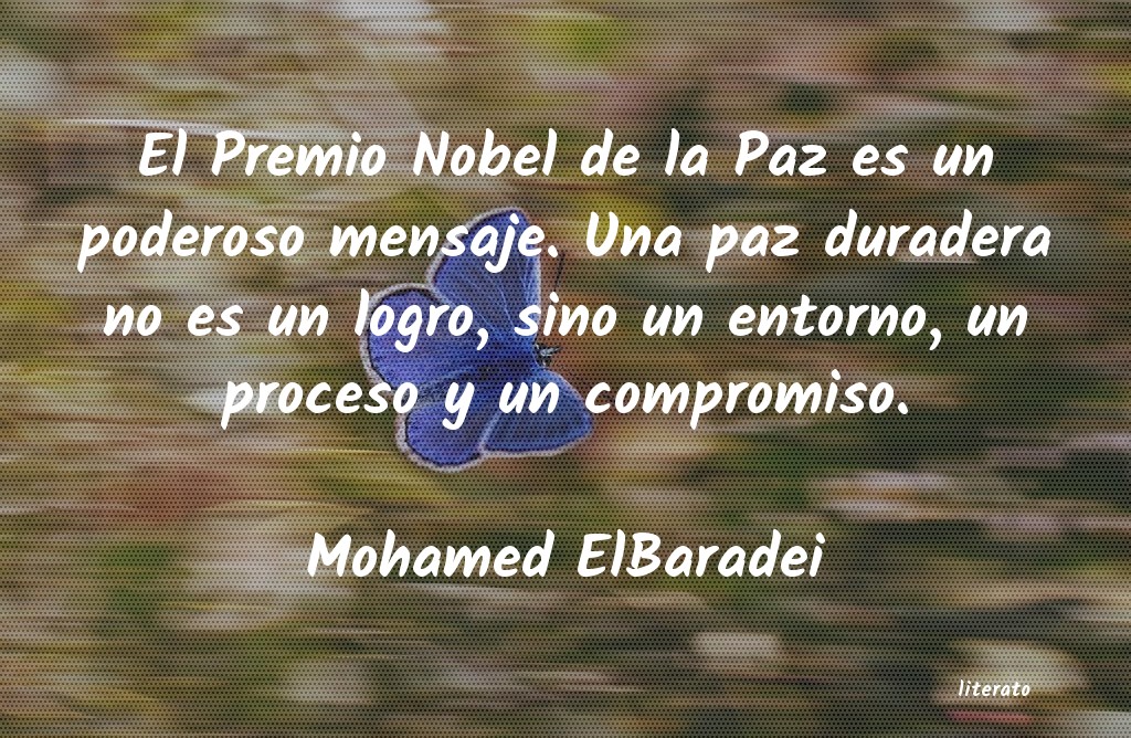 Frases de Mohamed ElBaradei