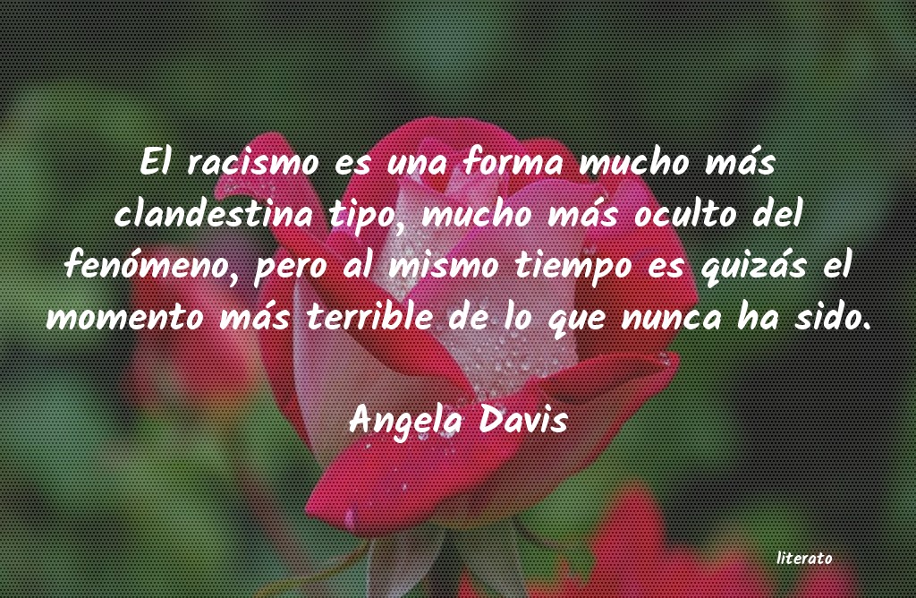 Frases de Angela Davis