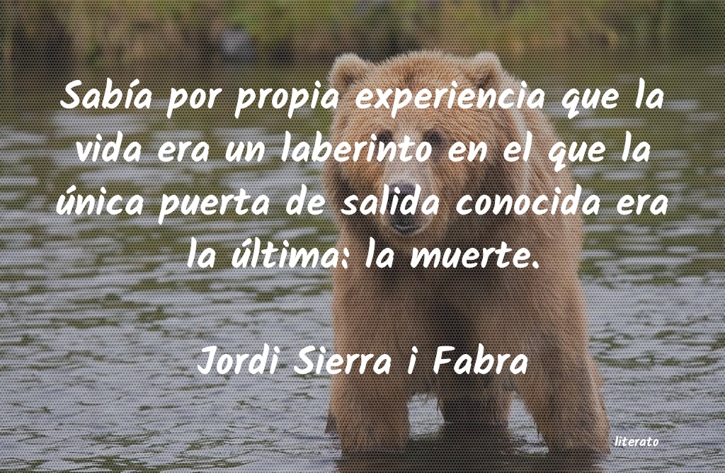 Frases de Jordi Sierra i Fabra