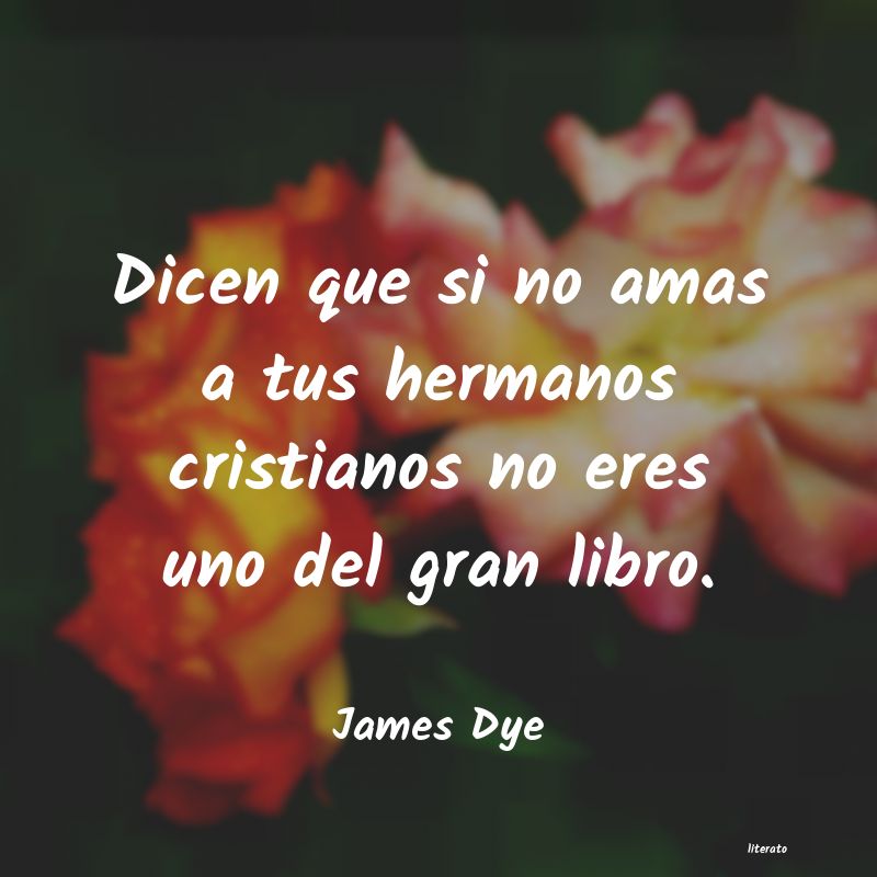 Frases de James Dye