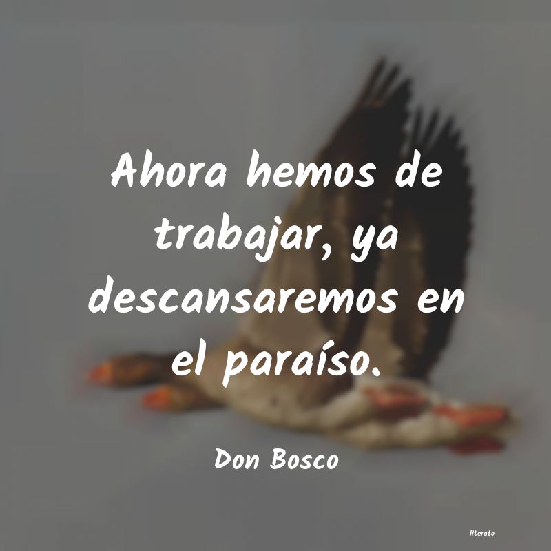 Frases de Don Bosco