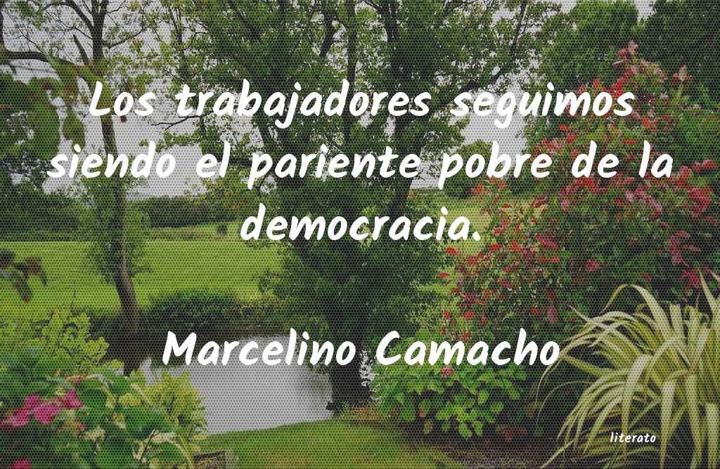 Frases de Marcelino Camacho
