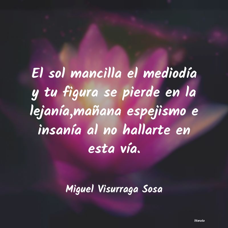 frases de Miguel Visurraga Sosa