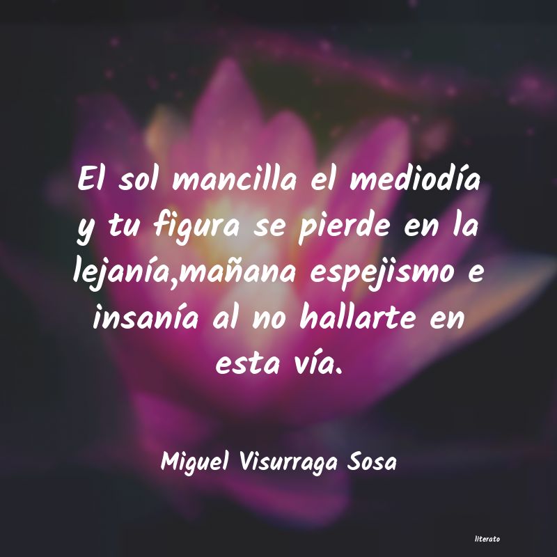 Frases de Miguel Visurraga Sosa