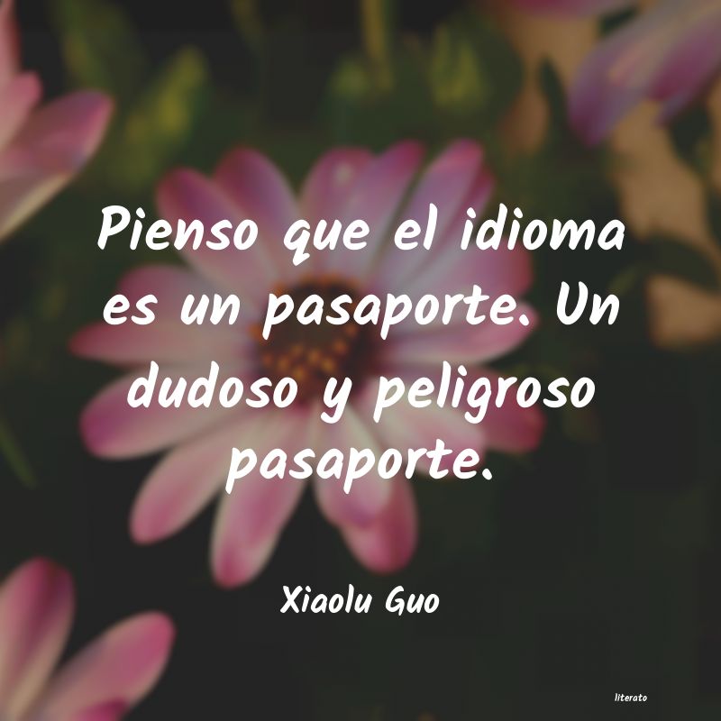 Frases de Xiaolu Guo