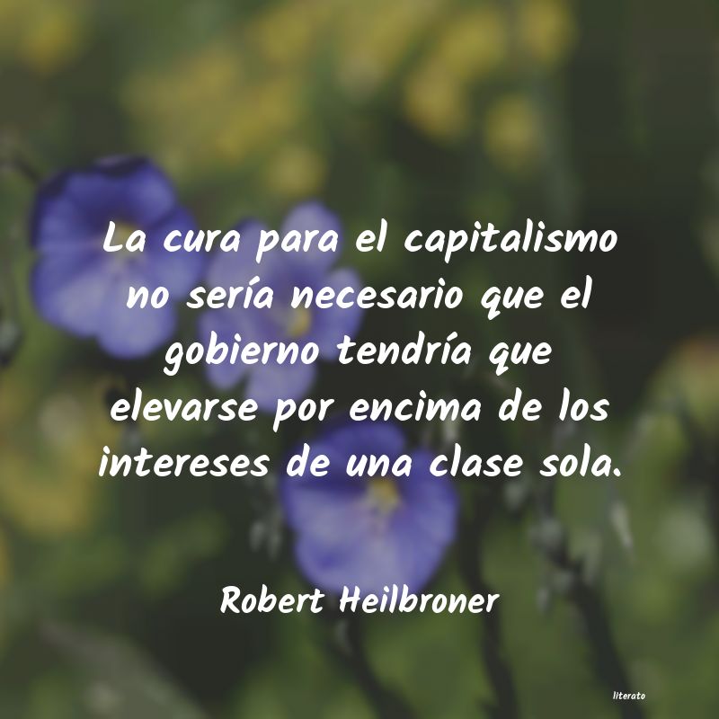frases de Robert Heilbroner