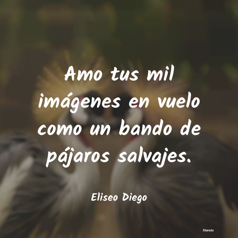 frases de Eliseo Diego