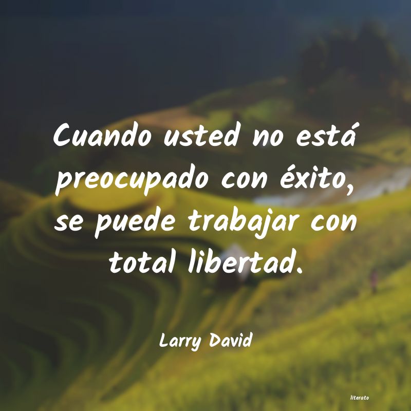 Frases de Larry David