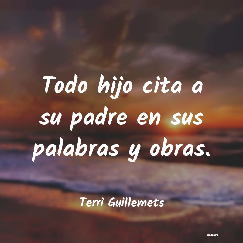 frases de Terri Guillemets