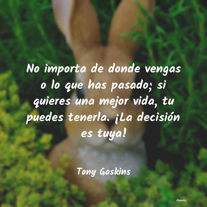 Frases de Tony Gaskins