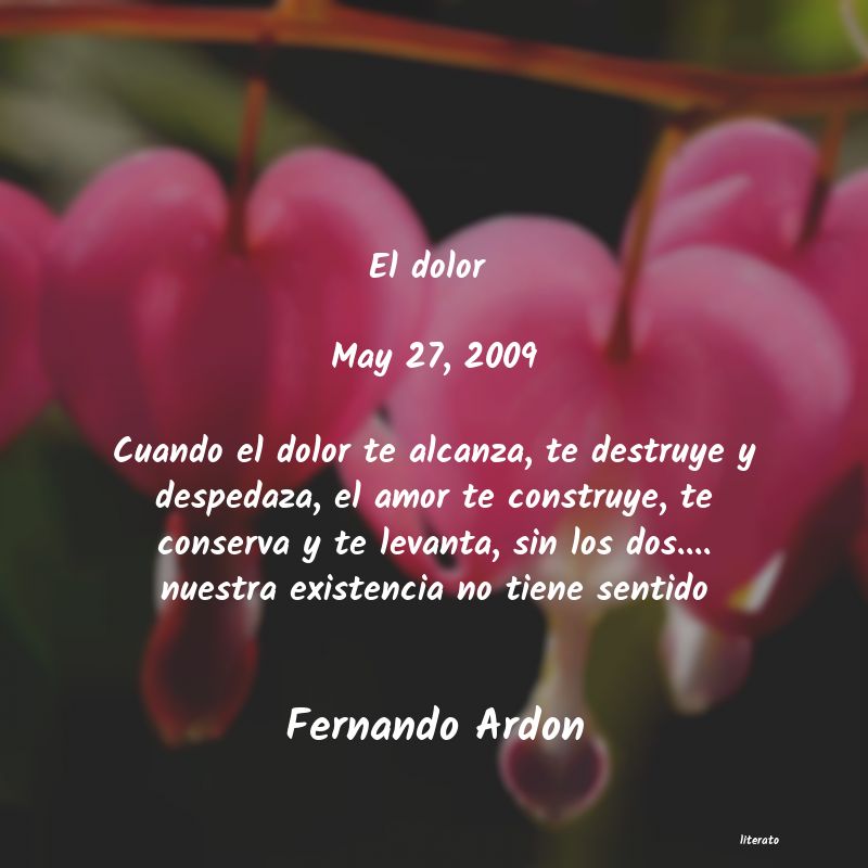 Frases de Fernando Ardon