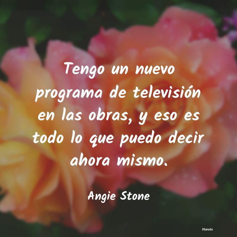 frases de Angie Stone