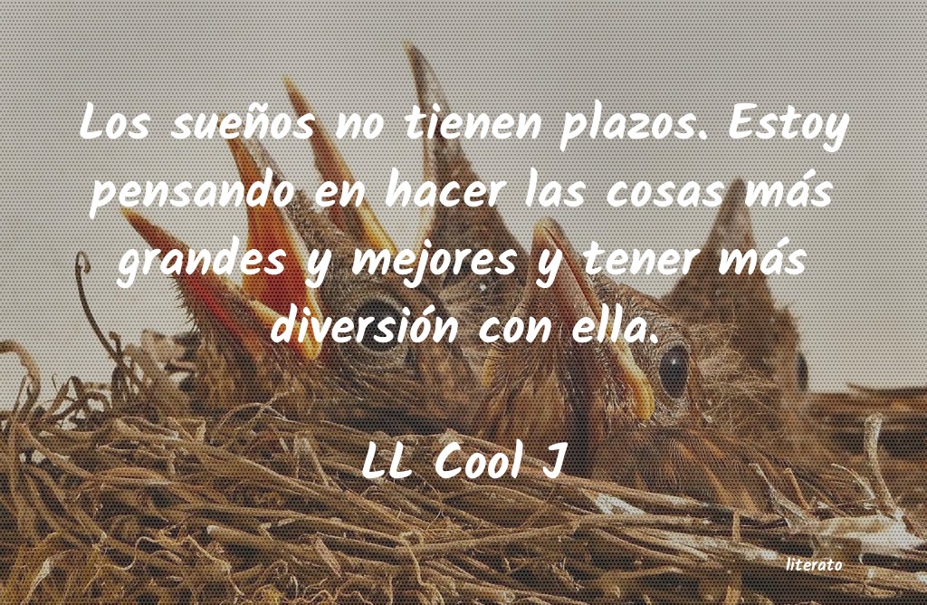 Frases de LL Cool J