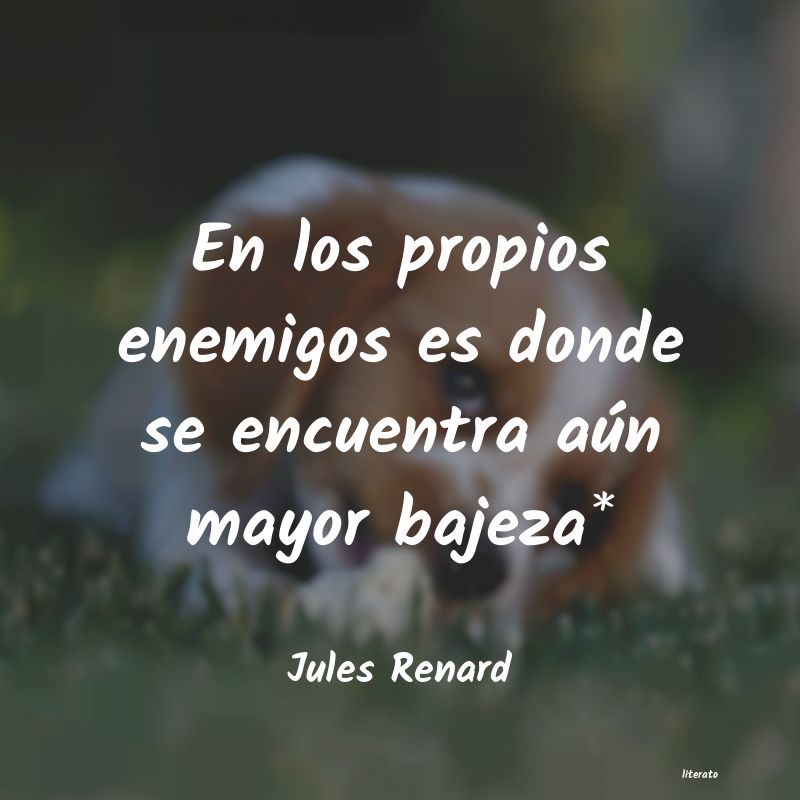 Frases de Jules Renard