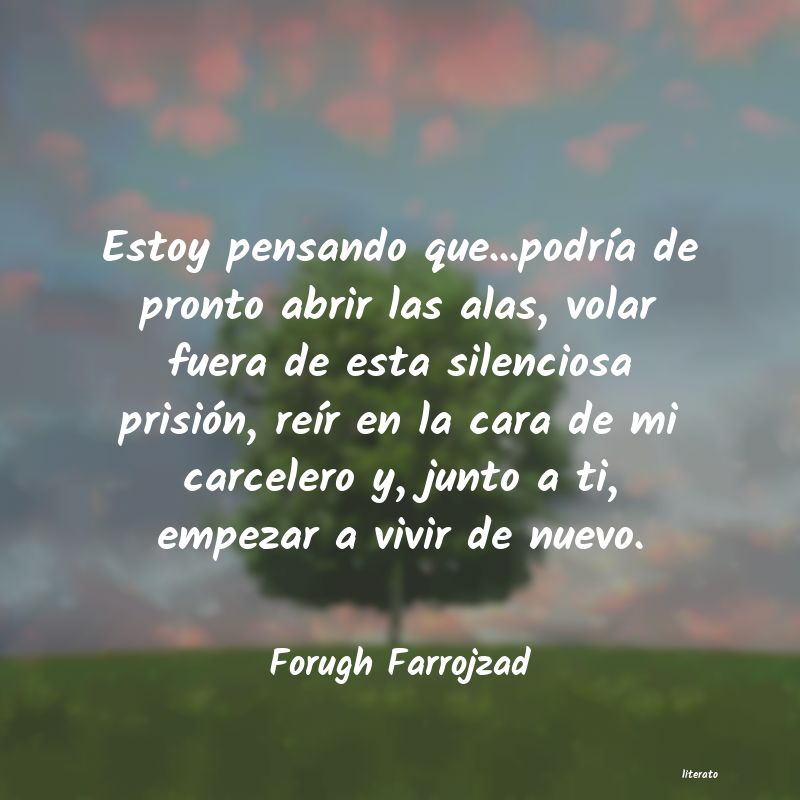 frases de Forugh Farrojzad