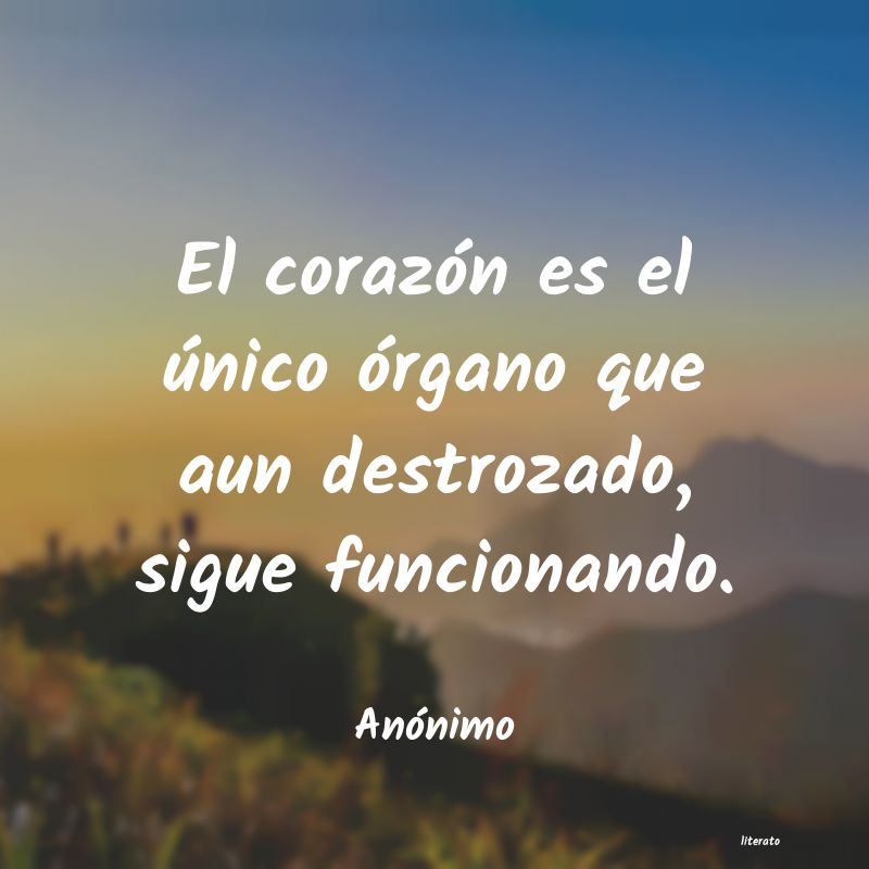 frases