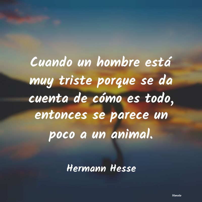 Frases de Hermann Hesse