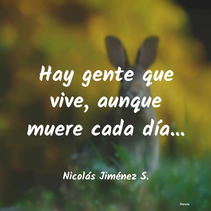 Frases de Nicolás Jiménez S.