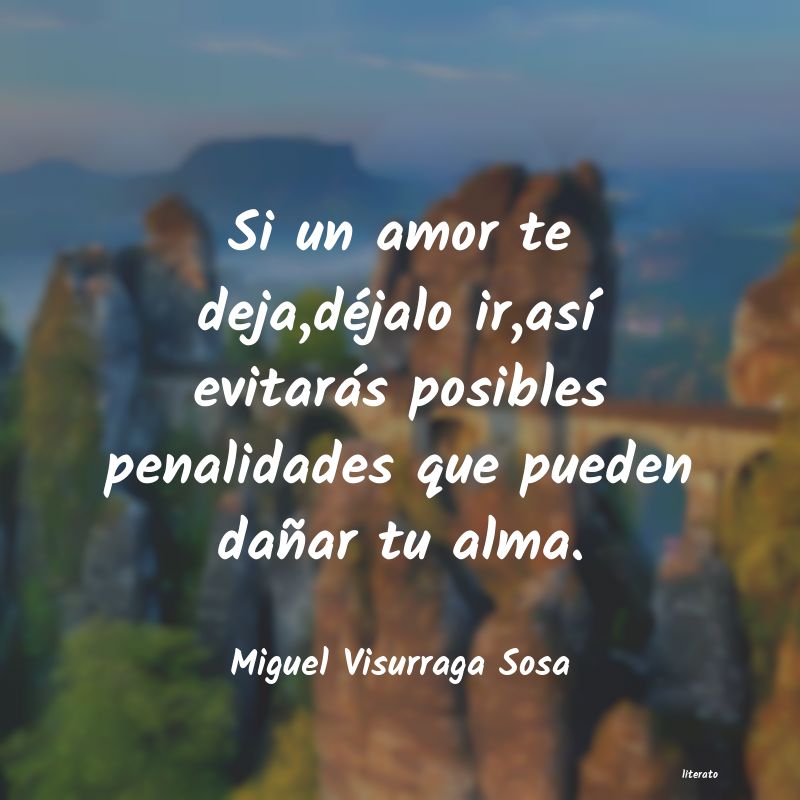 Frases de Miguel Visurraga Sosa