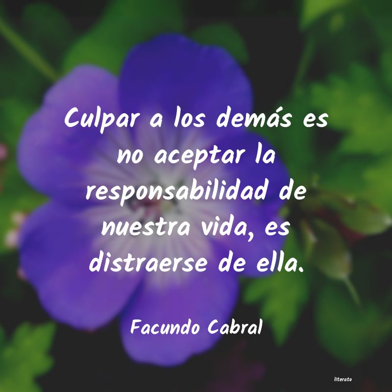 frases de culpar a los demas