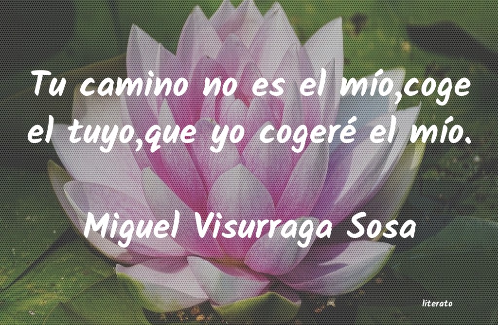 Frases de Miguel Visurraga Sosa