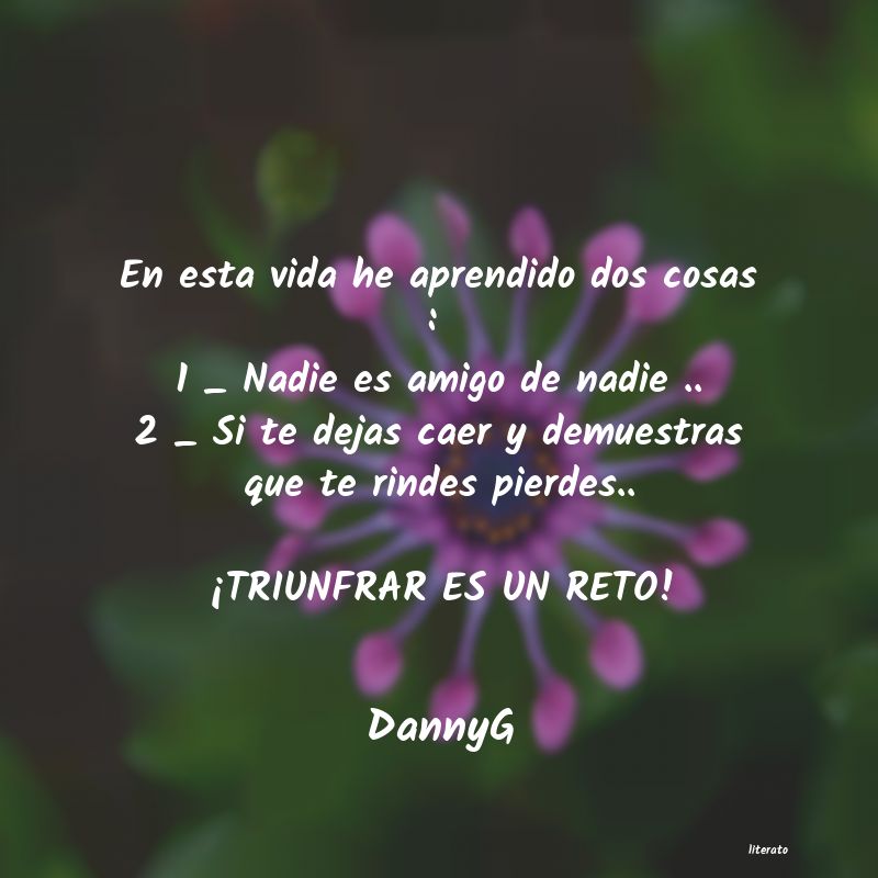 Frases de DannyG