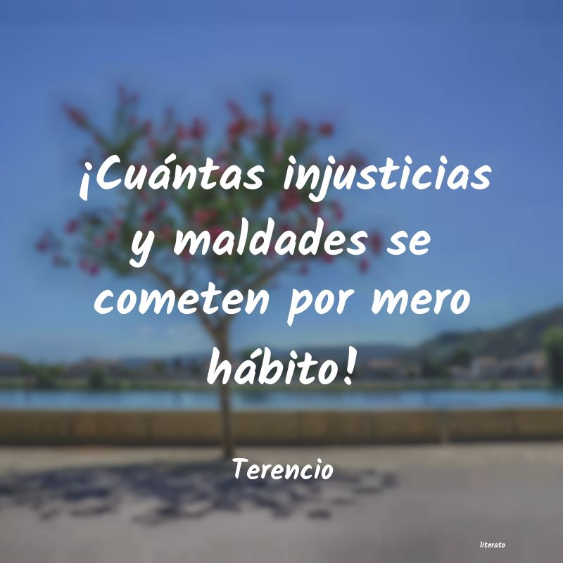 Frases de Terencio