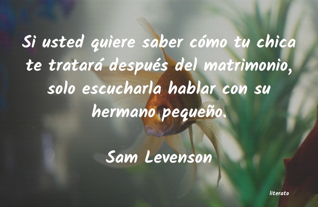 Frases de Sam Levenson
