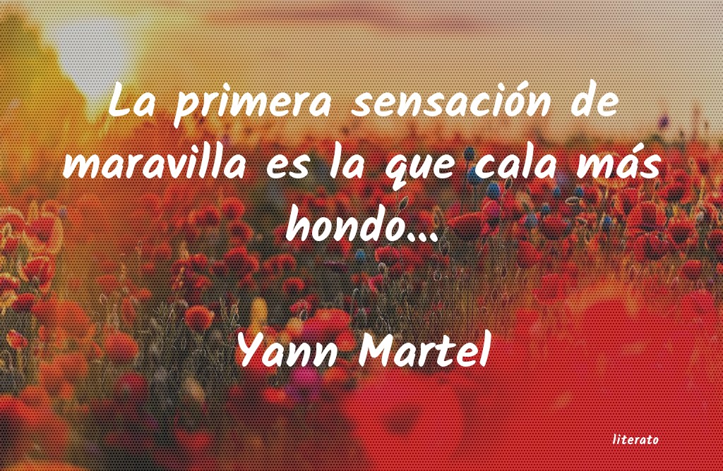 frases de Yann Martel