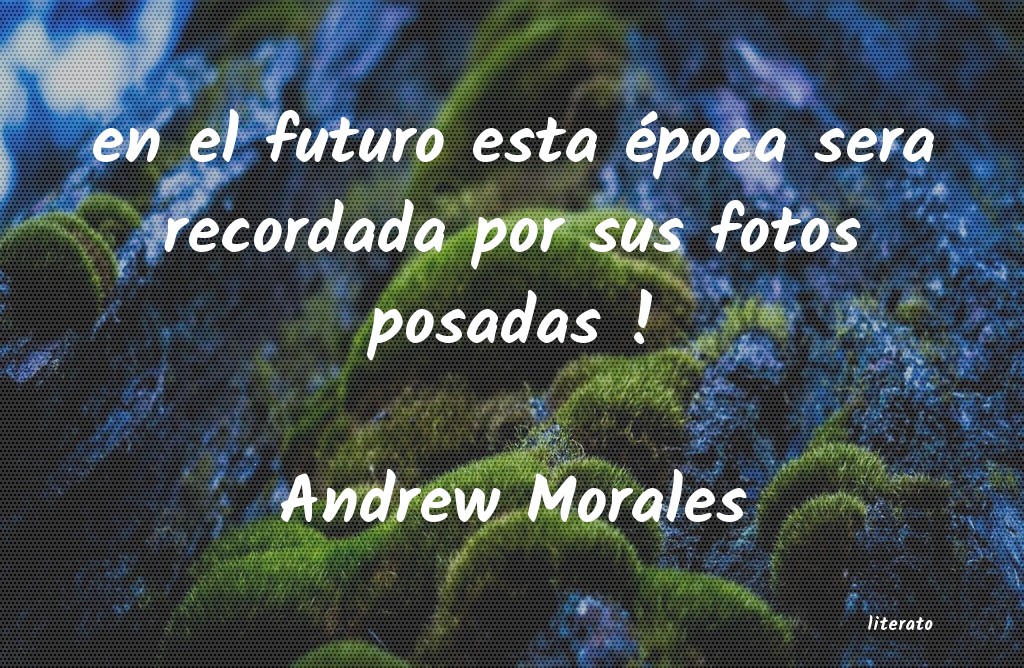 Frases de Andrew Morales