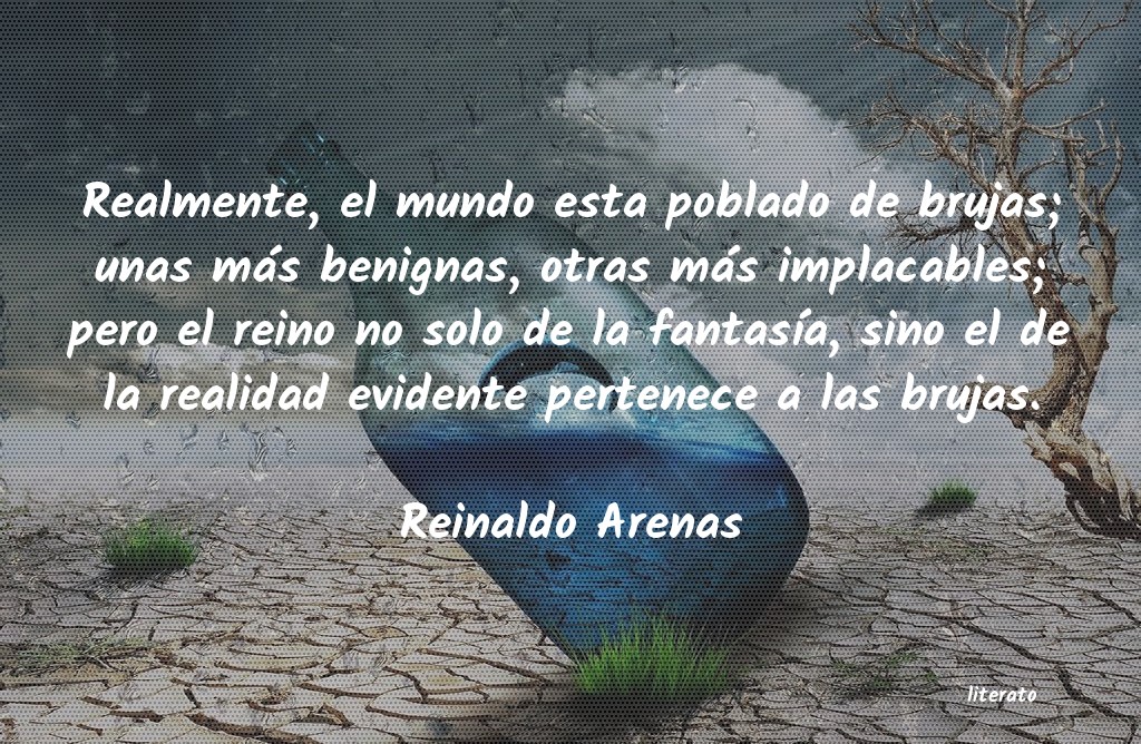 Frases de Reinaldo Arenas