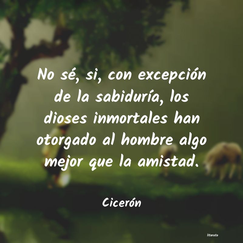 vicio ciceron