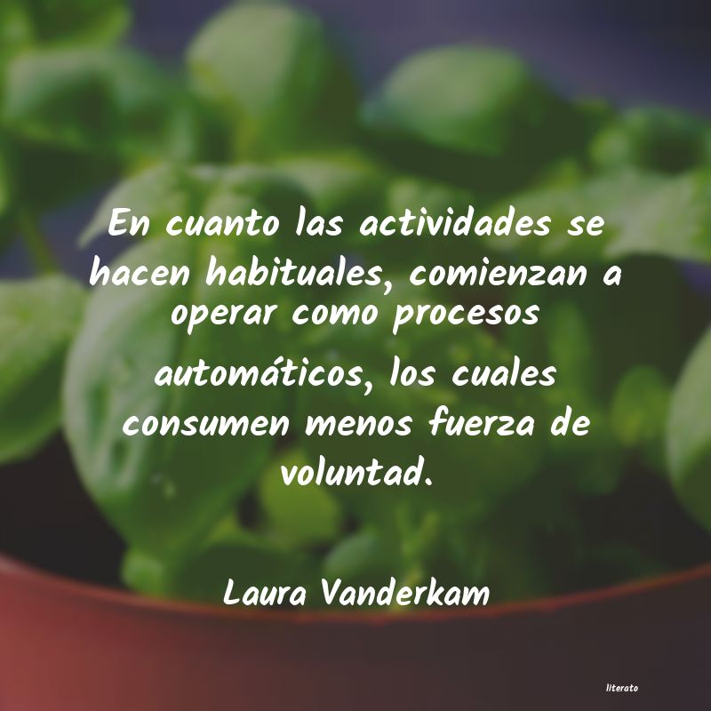 Frases de Laura Vanderkam