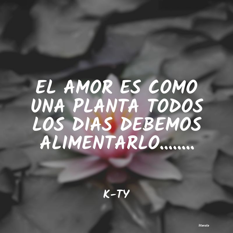 Frases de K-TY