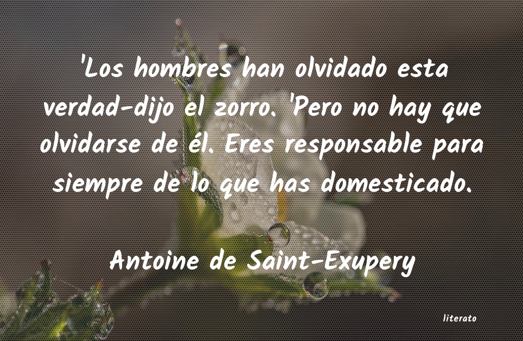 frases de Antoine de Saint-Exupery