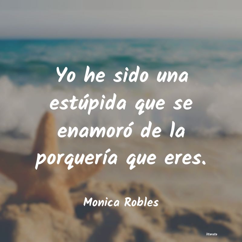 Frases de Monica Robles