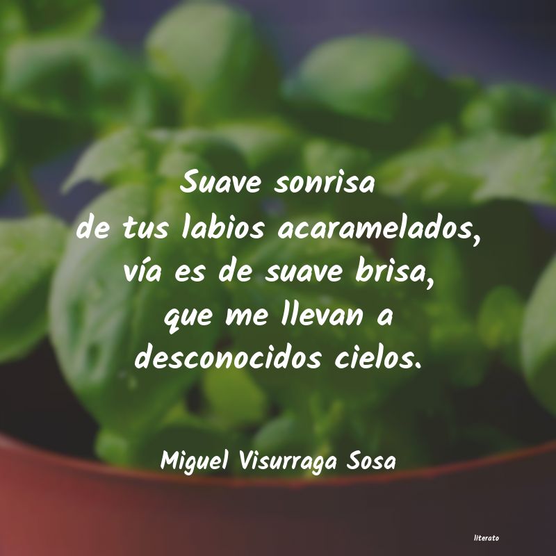 Frases de Miguel Visurraga Sosa