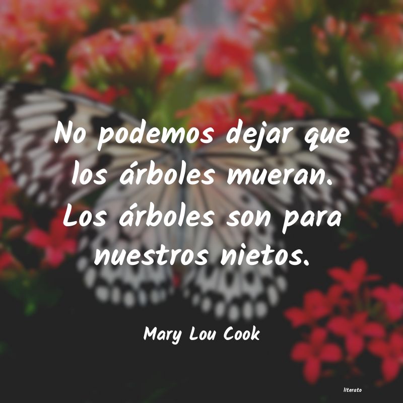 frases de Mary Lou Cook