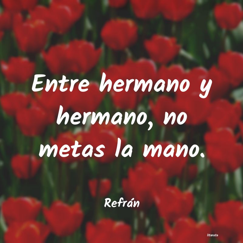 frases de Refrán