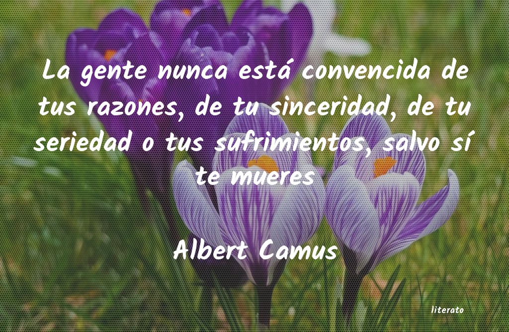 Frases de Albert Camus